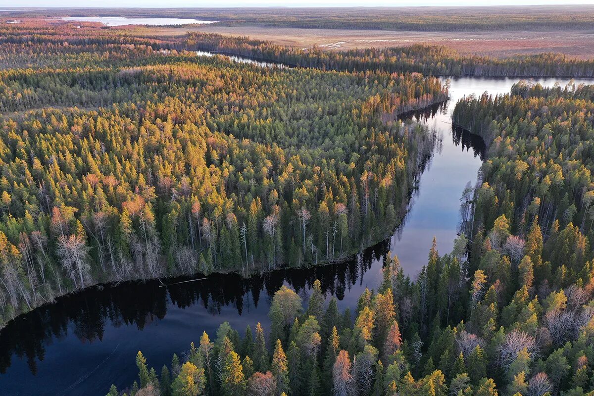 Водлозерский национальный парк. Национальный парк Водлозерский Петрозаводск. Водлозерский национальный парк Архангельской области. Национальный парк Ладожские шхеры. Водлозерский парк сайт