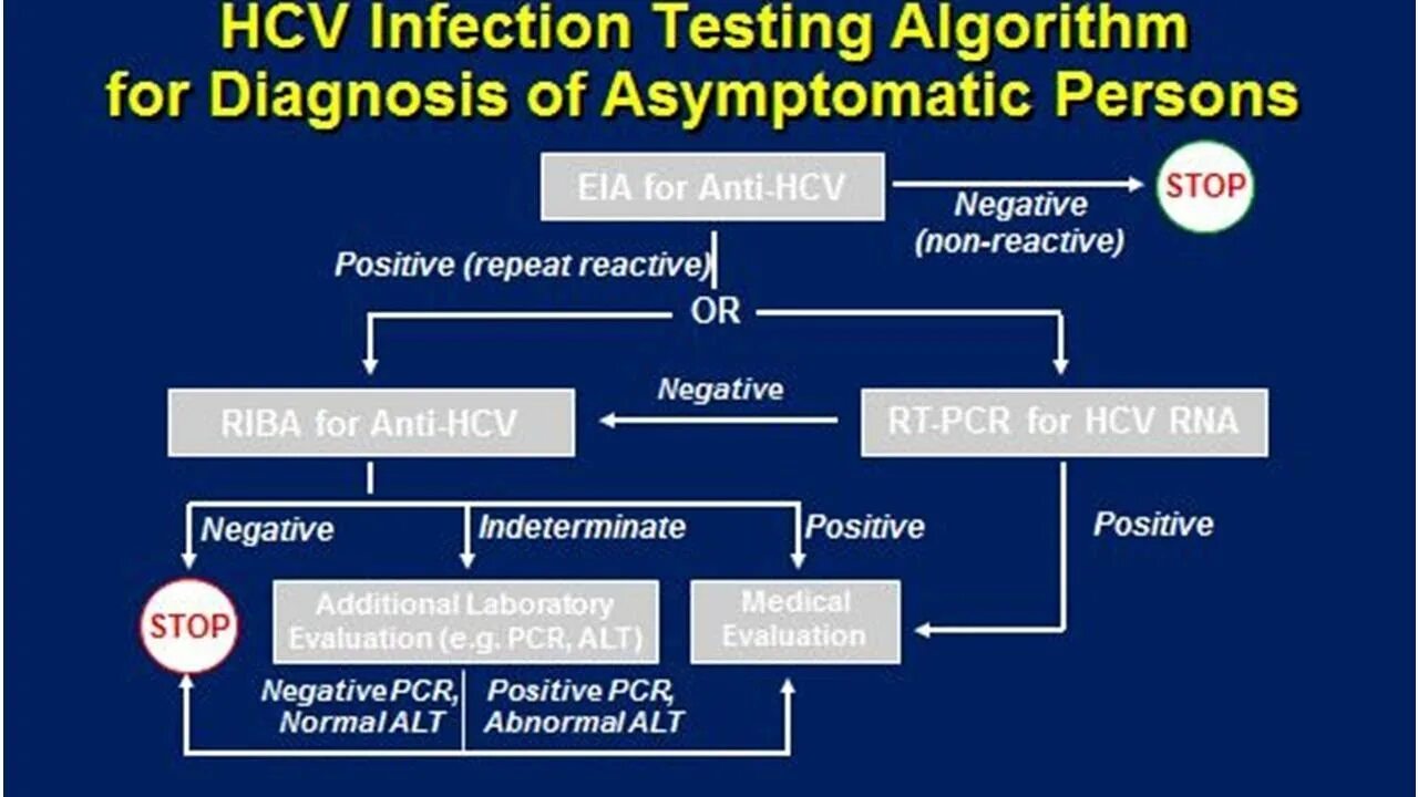 Testing algorithm. Hcv. test algorithm.