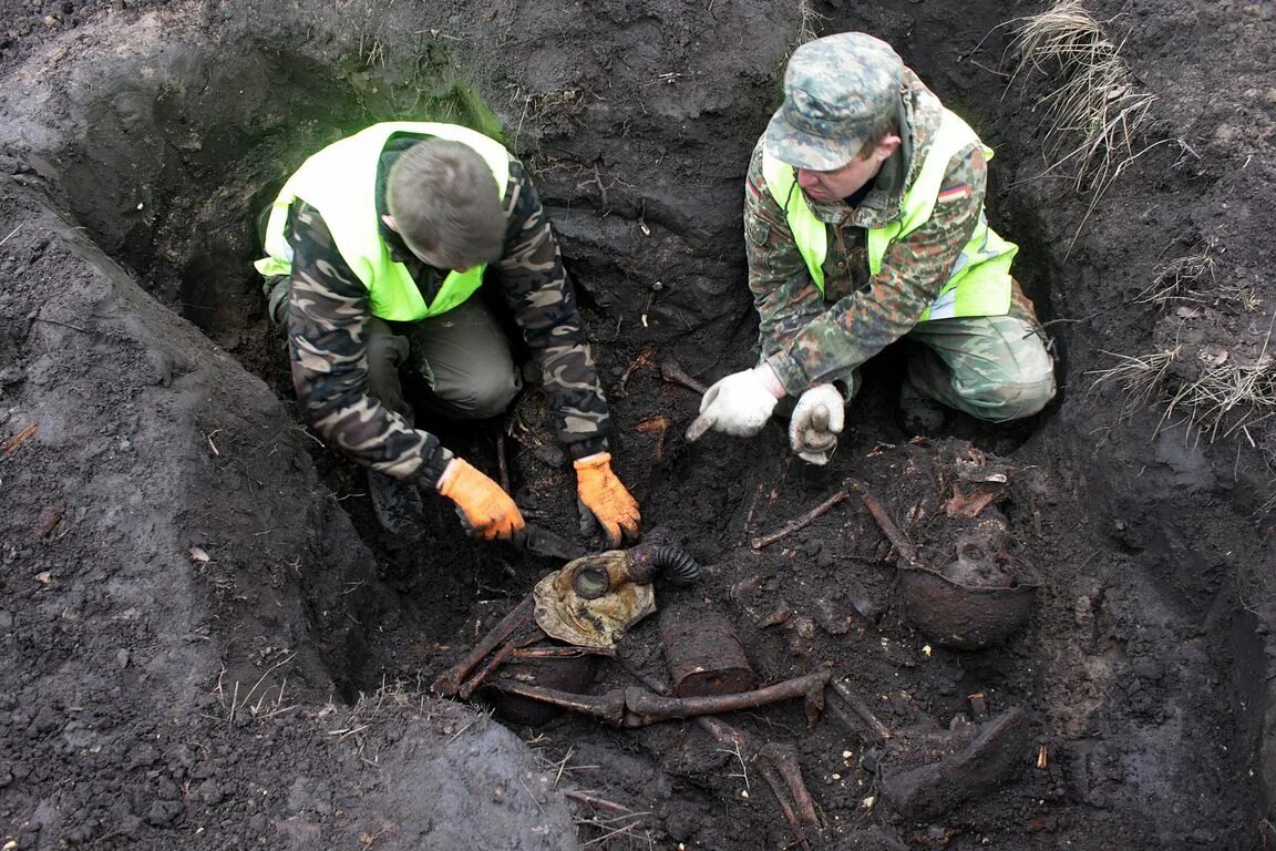 сады ставрополья минераловодский. яблоневый сад ярцево. яблоневый земляные работы. интенсивный сад. яблоневый сад орел.