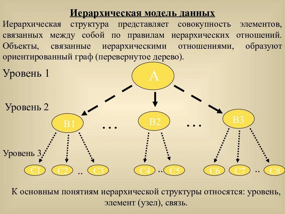 Организации данных по категориям. Иерархическая структура. Иерархическая структура модели. Иерархическая модель данных. Иерархическая структура это отношение.