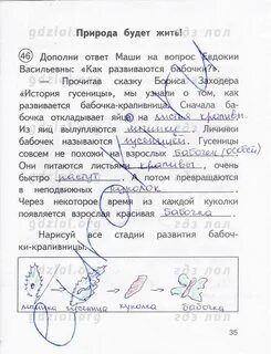Окружающий мир 3 рабочая тетрадь стр 35