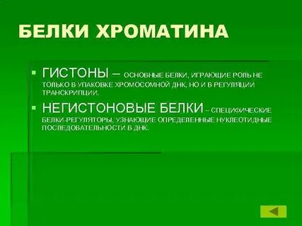 Белков хроматина