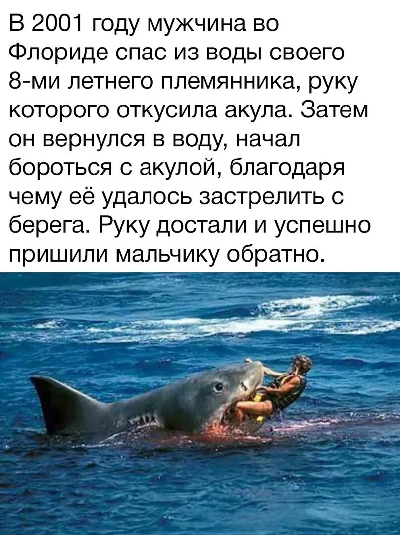Мужчине откусила руку акула. Факты племяннику