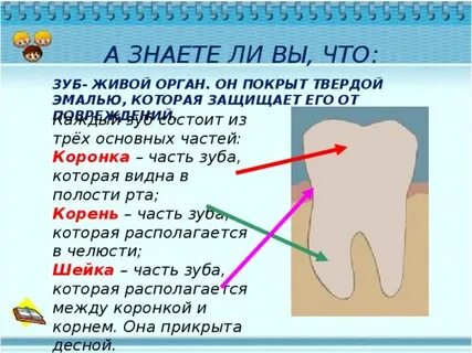Сохранять ли зуб