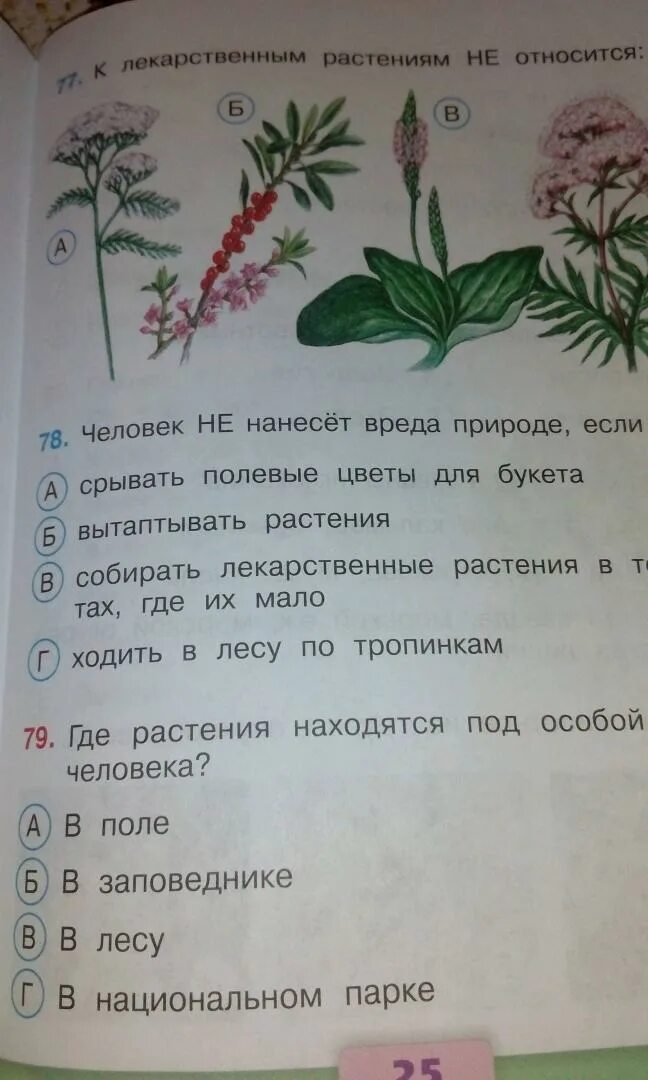 Окружающий мир 3 тест фгос. Окружающий мир 3 класс тесты плешаков. тесты по окружающему миру 3 класс плешаков гара назарова. окружающий мир 3 класс проверочные работы плешаков гара назарова. плешаков назарова гара 2 класс.