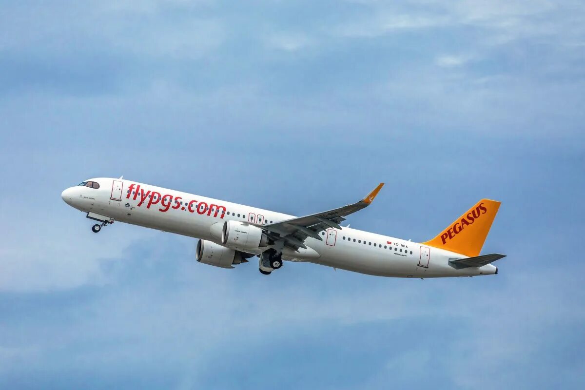 Pegasus авиакомпания сайт. Airbus a321 Pegasus Airlines. Airbus a320 Пегасус. Аэробус а320 Pegasus Airlines. Pegasus Airlines Airbus a321neo салон.