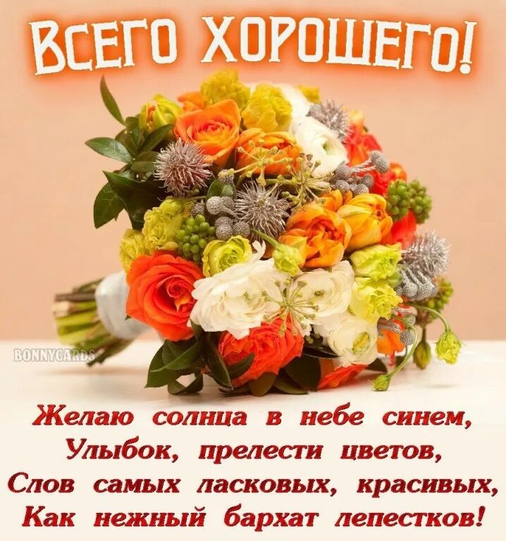 Желаю солнца желаю быть. Желаю солнца желаю. желаю солнца в небе синем улыбок прелести цветов. желаю солнца желаю неба. цветы для прелести.