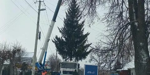 Брянск 8 декабря