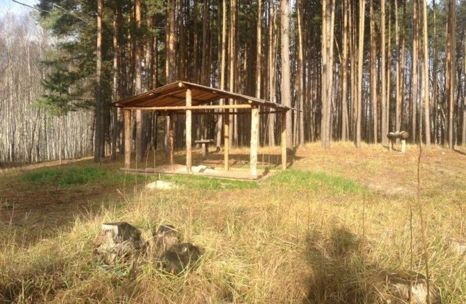 Охотничье хозяйство и природопользование. Охотничье хозяйство и природопользование. Охотничьи угодья зимой. Огневское охотхозяйство. Охотхозяйство беркут тверская область.