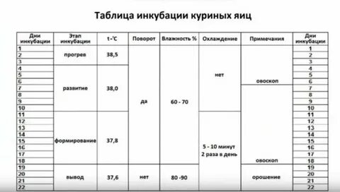 Температура инкубации куриных яиц таблица