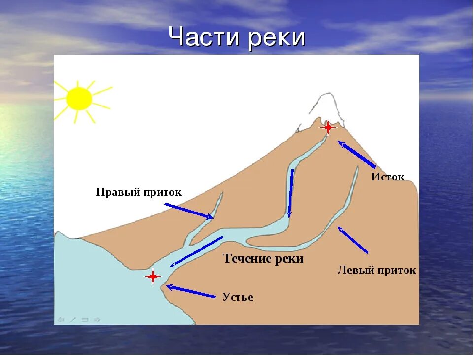 Исток реки Устье реки правый приток левый приток. Устье Исток русло части реки. Схема Исток русло Устье приток. Окружающий мир 2 класс река Устье Исток. Притоки порядку