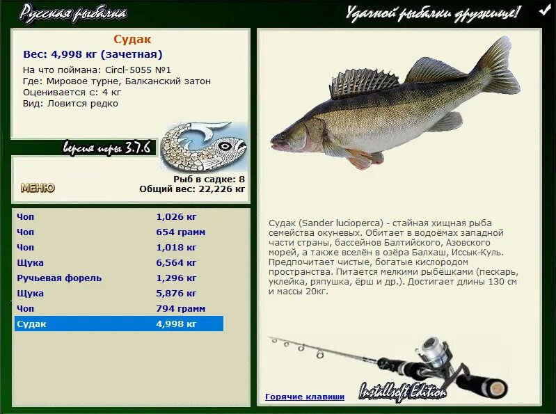 Допустимые размеры вылова рыбы. Разрешенный размер улова рыбы. Минимальный размер рыбы разрешенный к вылову. Разрешённый размер вылавливаемой рыбы. Судак рыба размеры разрешенные.