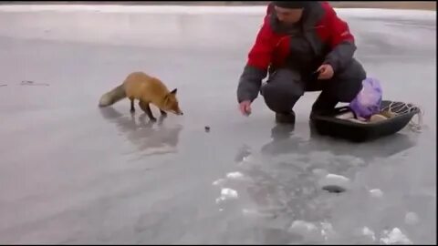 Ice Fishing Adventures - YouTube