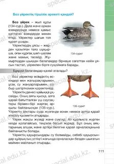 Пискадан кискаға