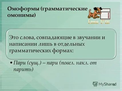Омоформы это
