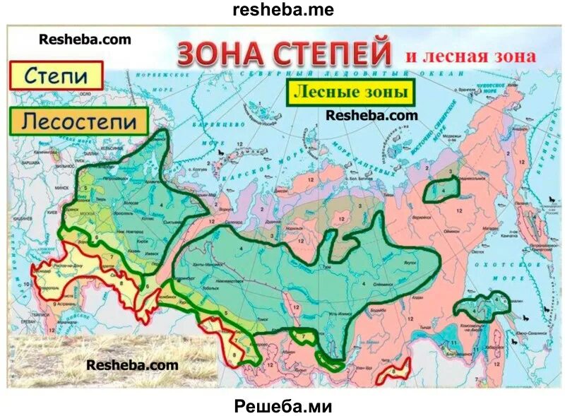 Степи и лесостепи географическое положение карта России. Лесостепная зона на территории России карта. Зона степей географическое положение в России на карте. Степи и лесостепи расположение на карте. С какими зонами граничит степь