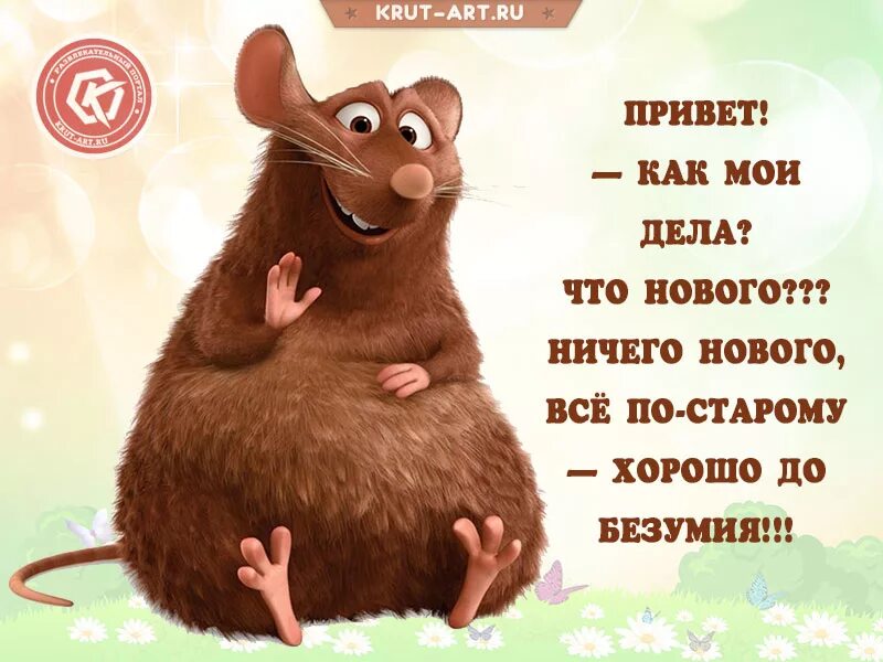 Загадай привет. Шуточное Приветствие. Прикольные открытки. Веселые открытки. Смешные открытки.