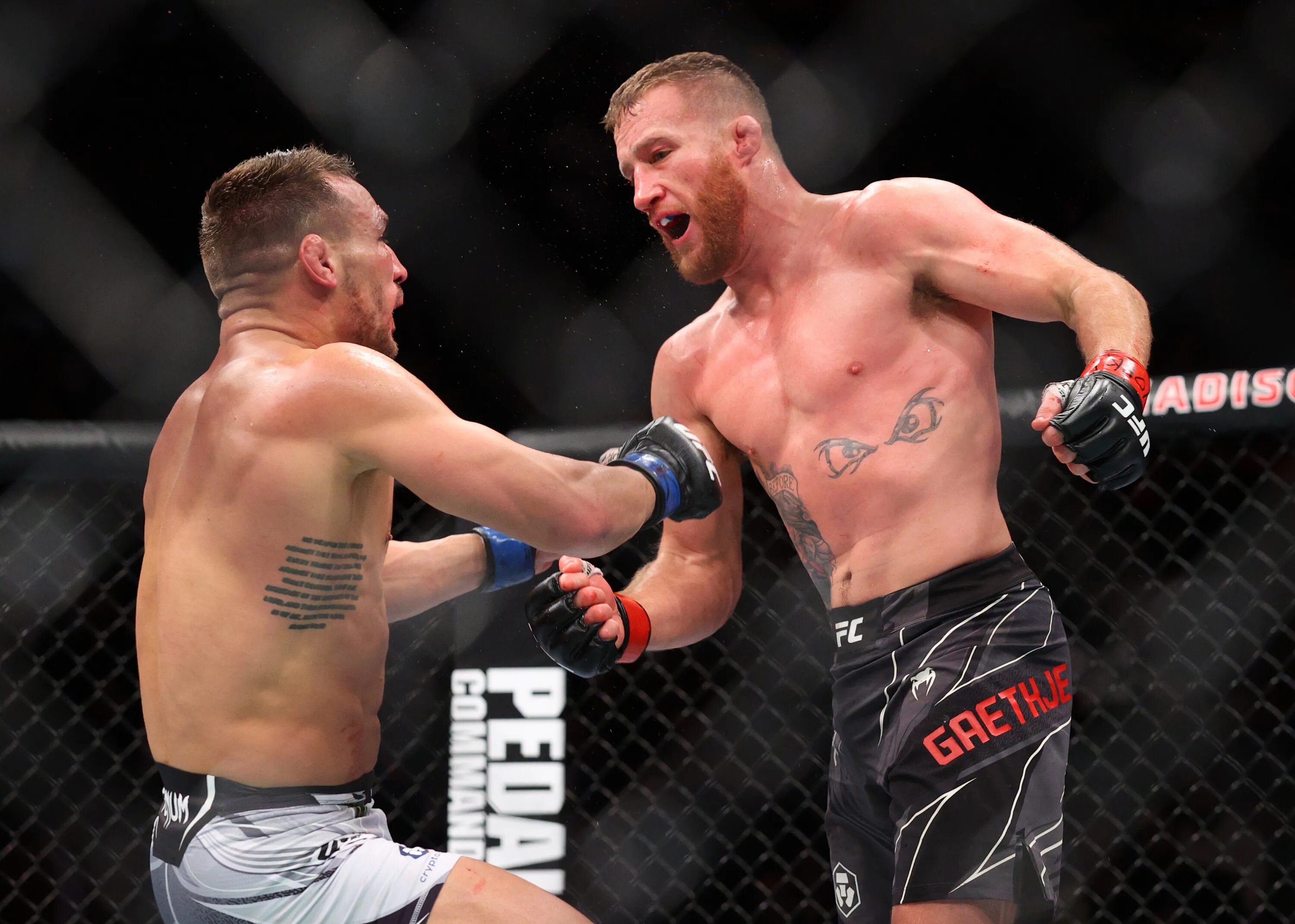 Ufc даты боев