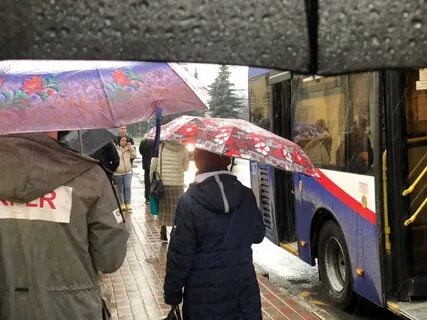 2 недели дождь будет