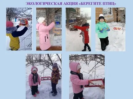 Береги свою птицу не