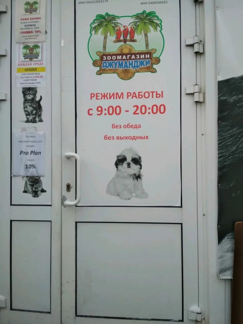 Вывеска режим работы зоомагазина. Режим работы в новогодние праздники зоомагазины. Визитка зоомагазина. Режим работы магазина для животных. Афиша зоомагазина.