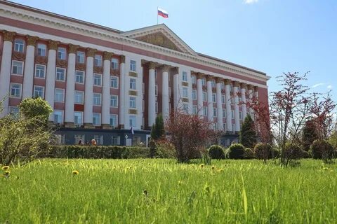Правительство курской