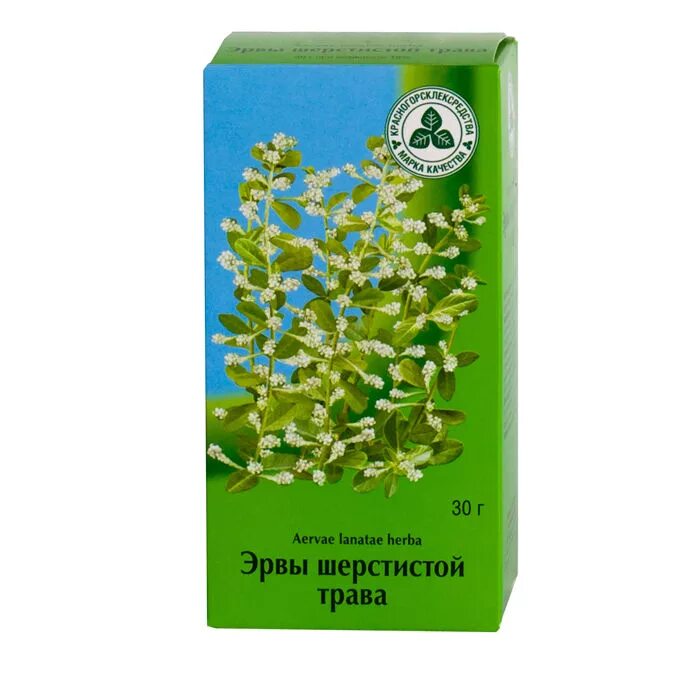 трава пол пола инструкция. эрва шерстистая трава 30г (красногорск). эрва шерстистая или пол-пала. эрва шерстистая (пол-пола) трава 30г. эрва шерстистая (50г).
