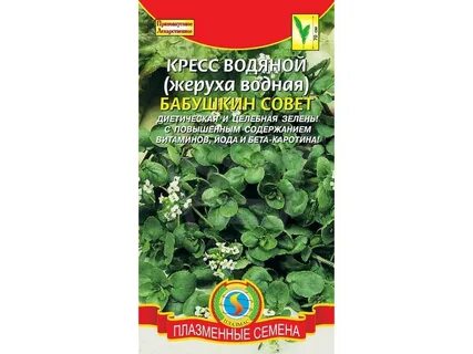 Семена успеха каталог
