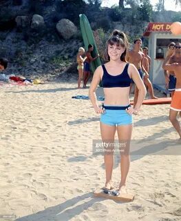 Sally Field Gidget Stock Pictures, Royalty-free Photos & Images - Getty Images
