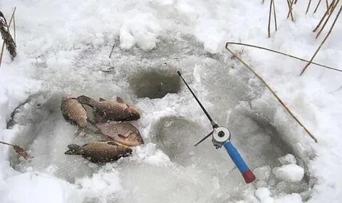 Рыбалка на карася со льда