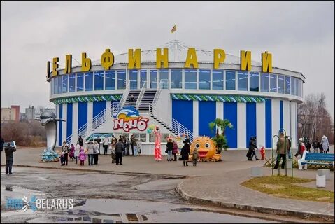 Дельфинарий минск