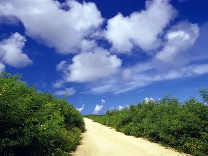 Little path