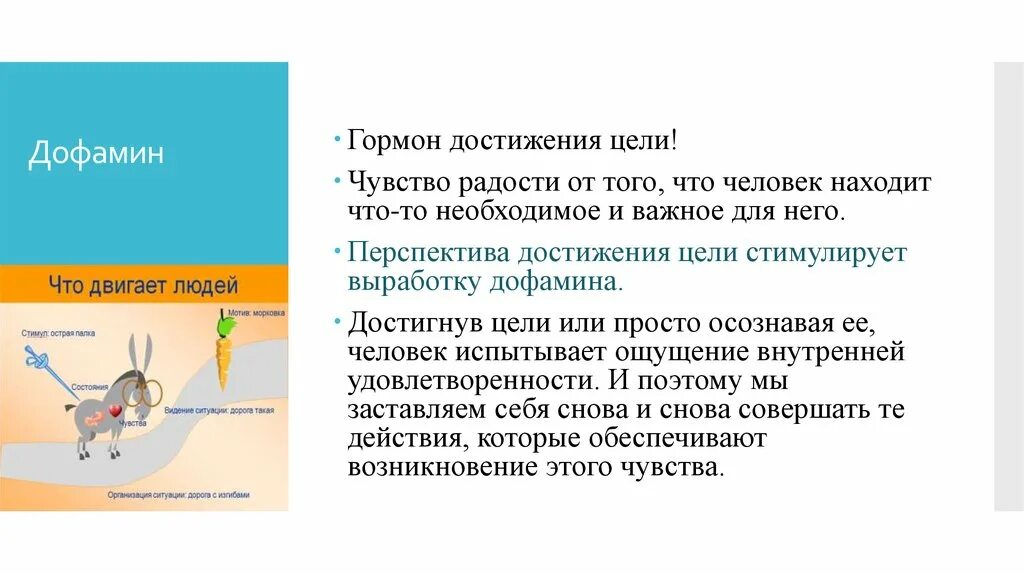 Какое чувство в человеке вызывает гормон эндорфин. Дофамин гормон достижения цели. Чувство достижения цели. Гормон мотивации. Дофамин гормон мотивации.