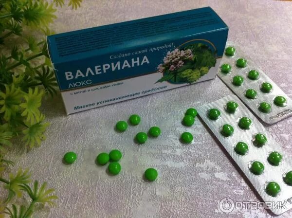 Таблетки ночные. Успокоительные таблетки валерьянка. зеленые таблетки успокоительные. валерьянка зеленая в таблетках. валериана в таблетках зеленые таблетки.