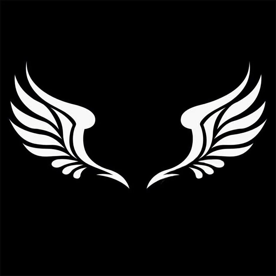Крылья на черном фоне. Крылья эмблема. Крылья символ. Логотип с крылышками.