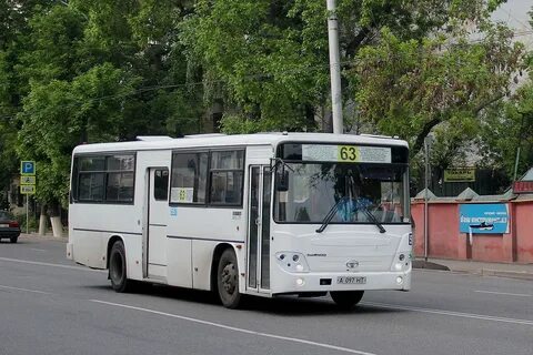 Автобус 597