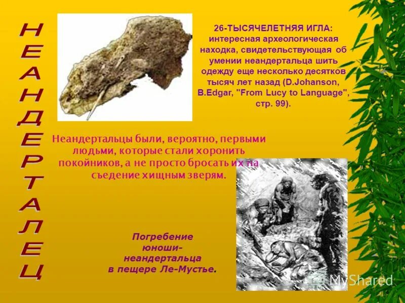 жизнь первобытных людей находки археологов. археологические находки первобытных людей. древние могилы древних людей раскопанные археологами. жизнь первобытных людей находки археологов. кловис каменные орудия.