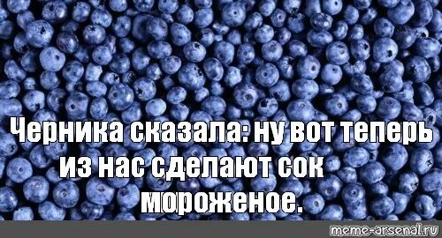 Никому о нас не говори черничная читать. Голубика мемы. Черника Мем. Смешная черника. Мемы про чернику.