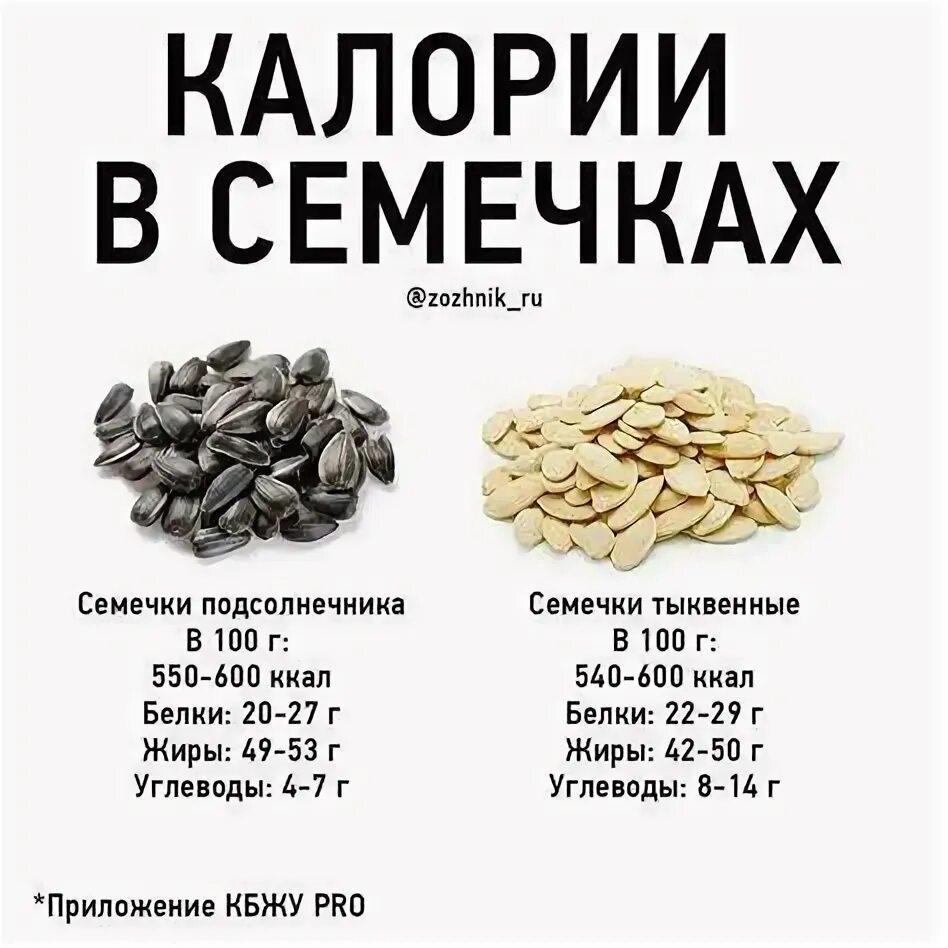 Когда можно есть семечки. Когда можно есть семечки