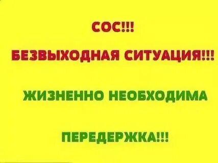 Адреса передержек