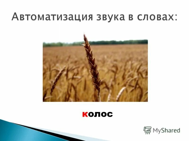 звуковой разбор слова береза. найди лишнее слово. звуки слова колос. колос голос картинка. найди и подчеркни лишнее слово.