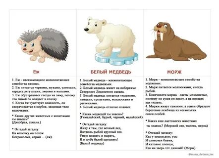 Научное сообщение о диких животных поисковые запросы
