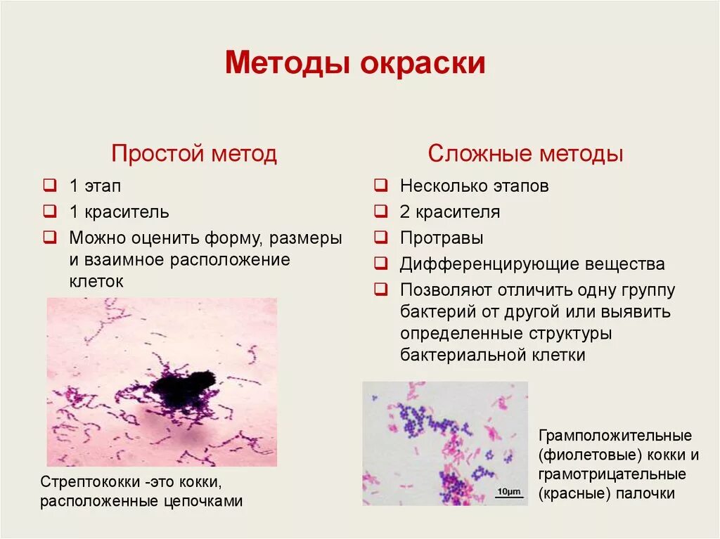 Метом это. Методы окраски мазков микробиология. Простой метод окраски бактерий микробиология. Методы окраски фиксированных препаратов. Универсальный метод окраски бактерий.
