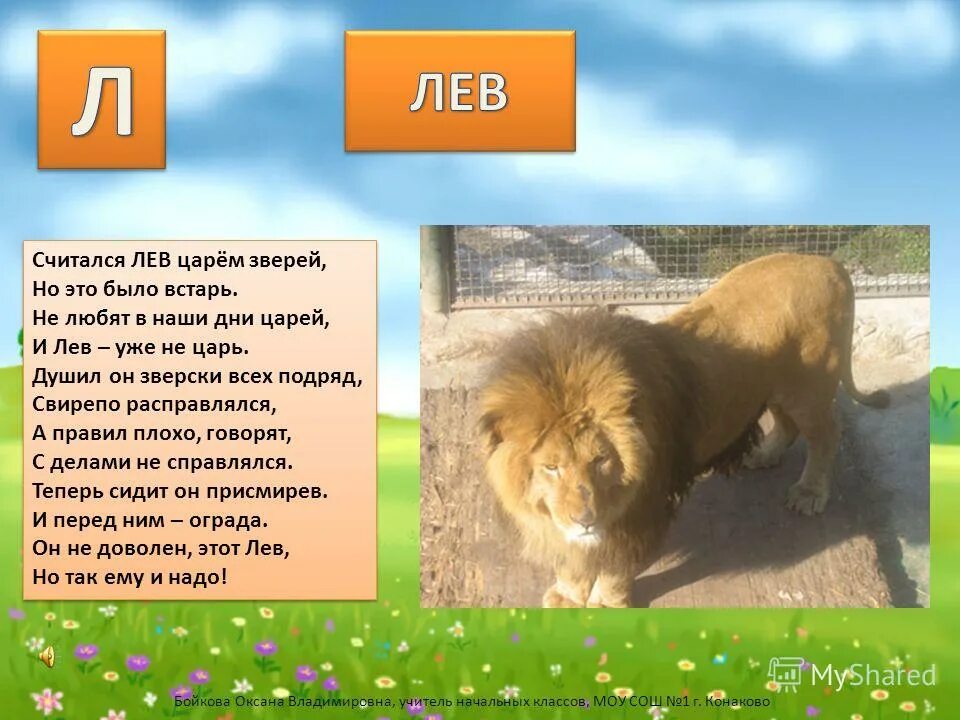 доклад про льва. загадка про льва для детей. описание льва для детей. гороскоп лев с описанием. описание льва.