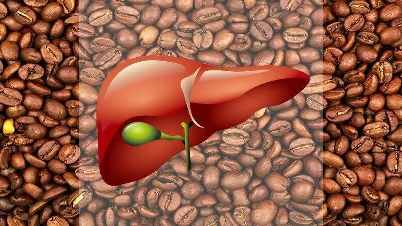Кофе влияет на печень. Печень от кофе. Кофе воздействие на печень. Кофе полезно для печени.