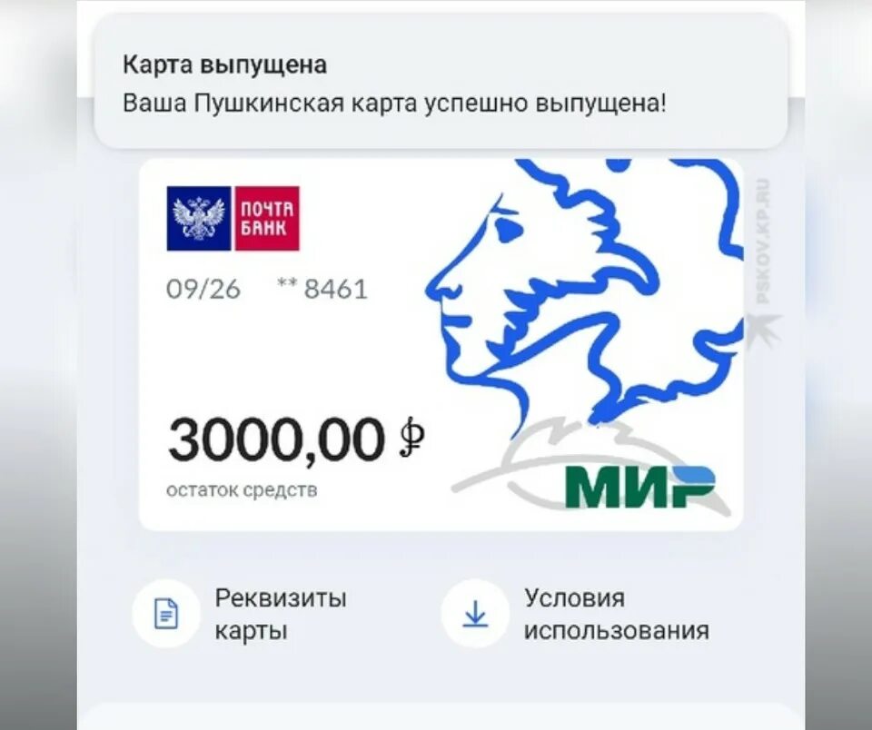 Где использовать пушкинскую карту