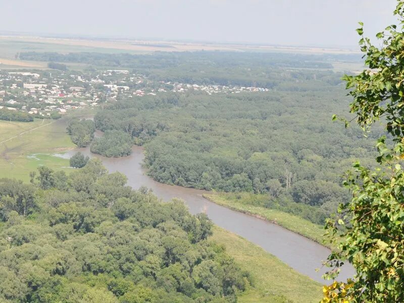 Село Петропавловское Алтайский край. Николаевка Петропавловский район Алтайский край. Село Паутово Петропавловский район Алтайский. Зелёный дол Алтайский край Петропавловский район. Новообинка алтайский край погода