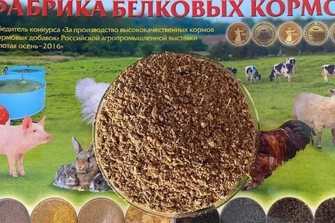 Фермер киров