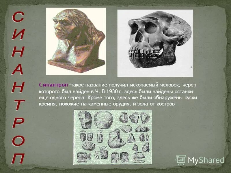 останки синантропа были найдены. останки синантропа были найдены. стоянка синантропа китай на карте. синантроп пекинский человек орудия. пекинский синантроп.