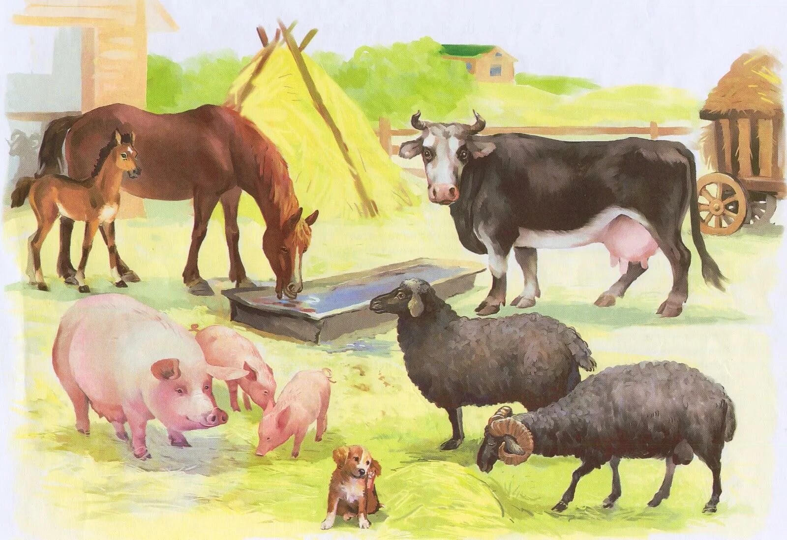Домашние животные для детей. Домашние животные для дошкольников. Иллюстрации домашних животных. Сельскохозяйственные животные для детей. Корова коза овца свинья